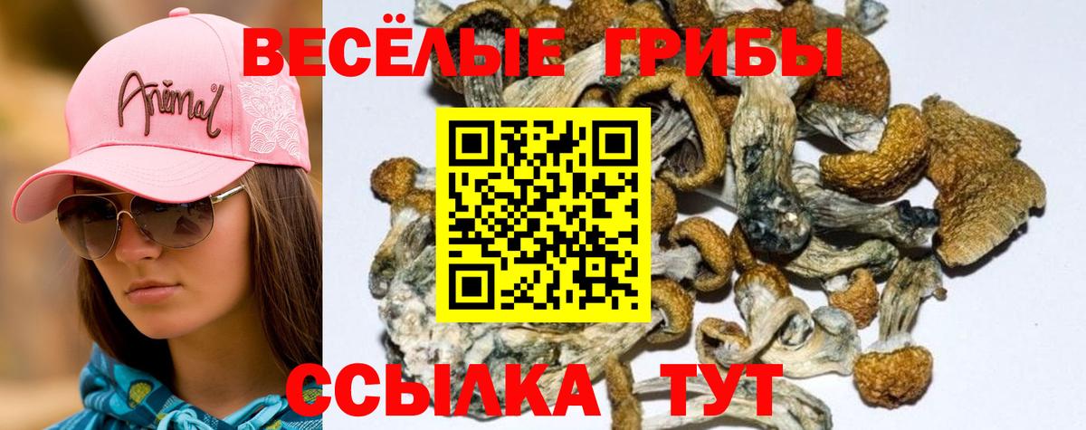 Норильск  даркнет сайт  Псилоцибиновые грибы Psilocybine cubensis  Вход с VPN  Галлюциногенные грибы ЛСД 