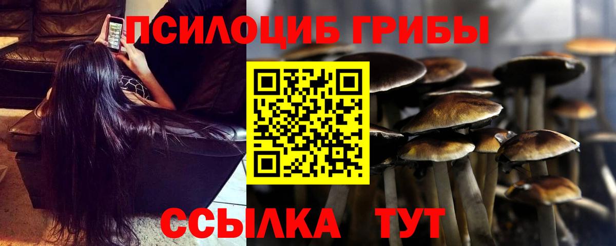 Псилоцибиновые грибы Psilocybe Норильск